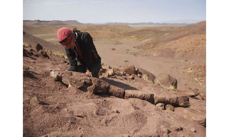 Fossils show huge salamanderlike predator with sharp fangs existed before the dinosaurs