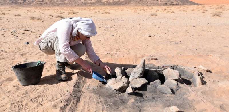 Stone Age herders transported heavy rock tools to grind animal bones, plants and pigment