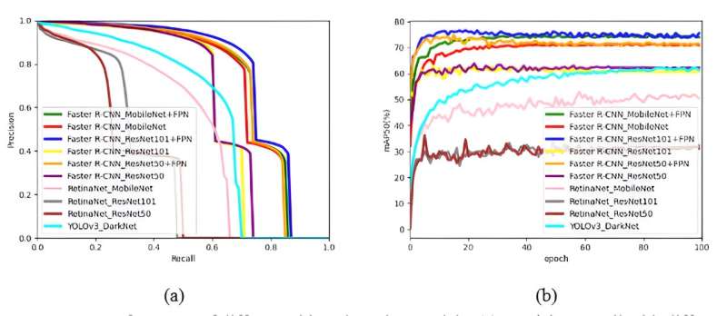 Innovative deep learning model enhances maize phenotype detection and crop management