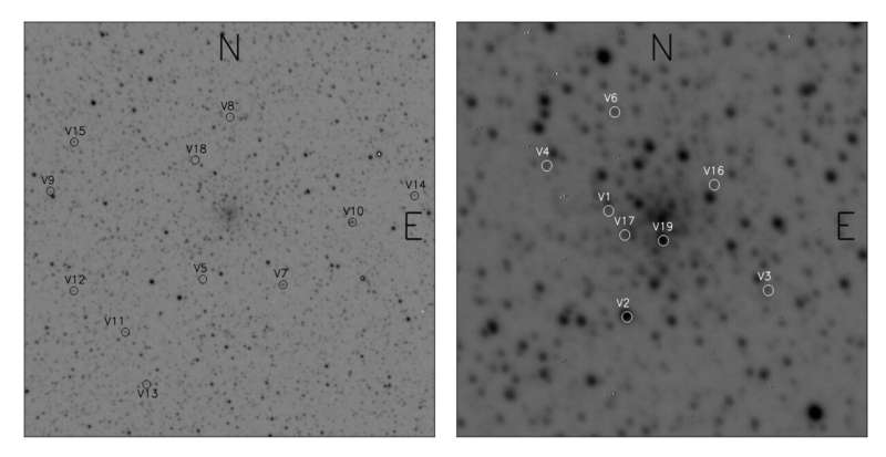 Two new variable stars detected in globular cluster NGC 6558