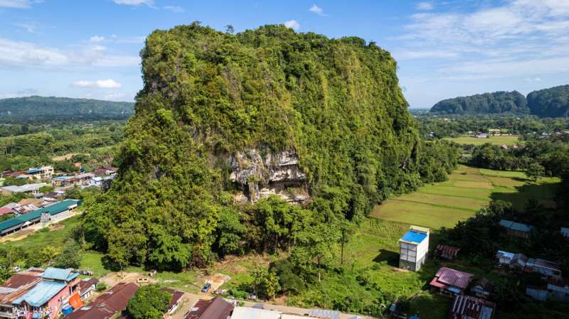 World's oldest artwork discovered in Indonesian cave