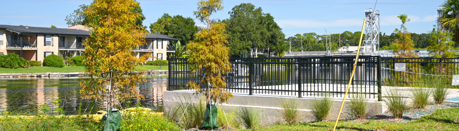 The Hillsborough River waterfront