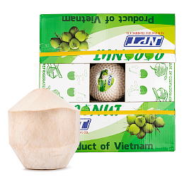 Thai Young Coconut