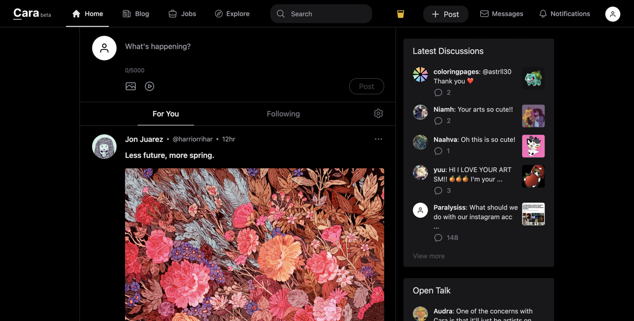 What is Cara, the anti-AI social media app for artists?