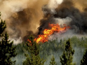 Flames from the Donnie Creek wildfire burn