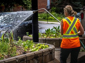 A person in a worker's vest waters flowers on a city street.