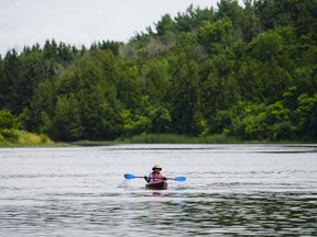 A kayaker makes their way up the Mississippi River in Lanark County, Ont., on Monday, July 8, 2024.