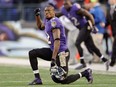 In this Nov. 10, 2013 file photo, Baltimore Ravens wide receiver Jacoby Jones cheers in overtime of an NFL football game against the Cincinnati Bengals in Baltimore.