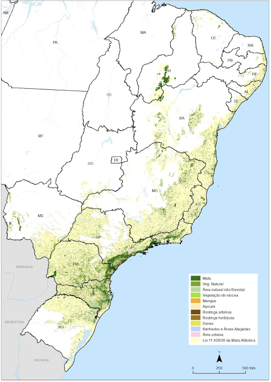 Remanescentes florestais em 2023 pela Lei da Mata Atlântica