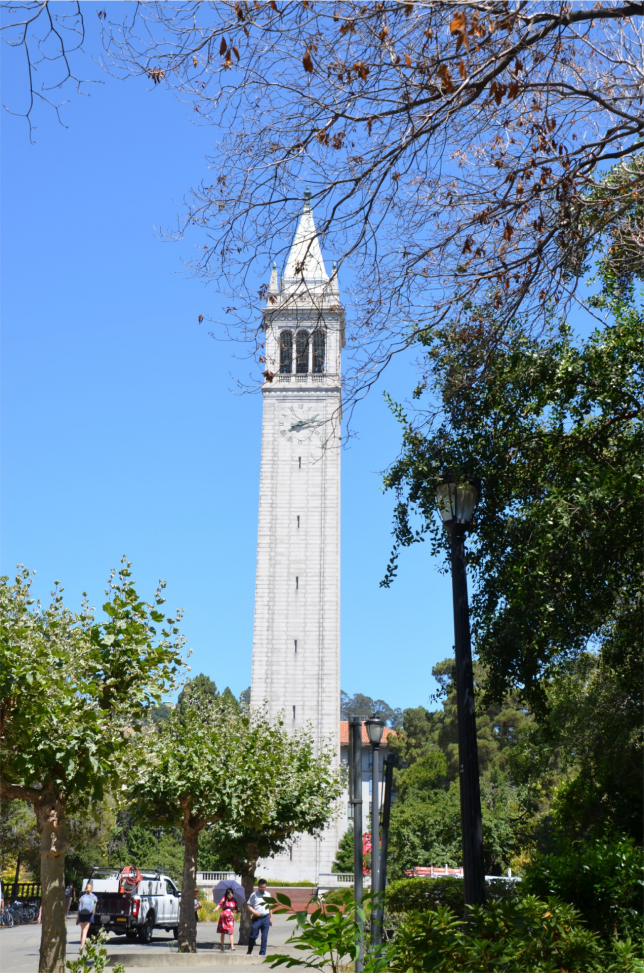 berkeley, peer counseling