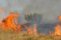 Адът край Стара Загора! Огромният пожар бушува цяла нощ, борбата продължава