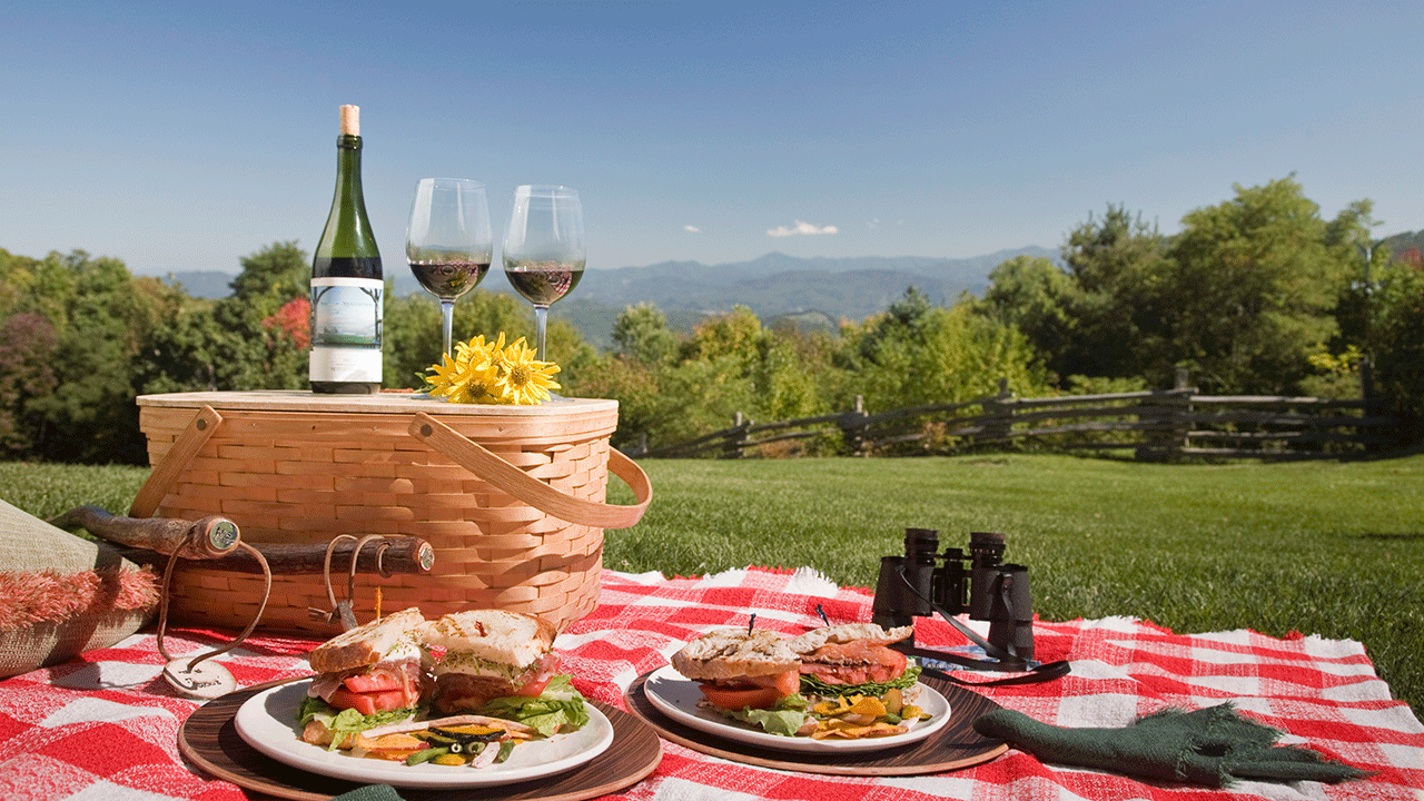 A picnic date set up