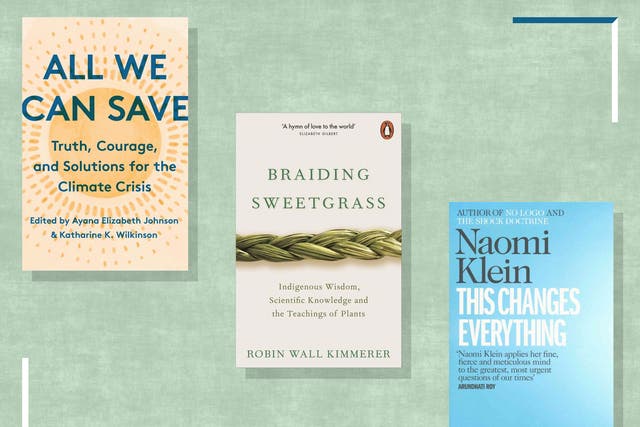 <p>These non-fiction tomes will arm you with the essential facts and offer hope about how we can achieve a just and clean energy future</p>