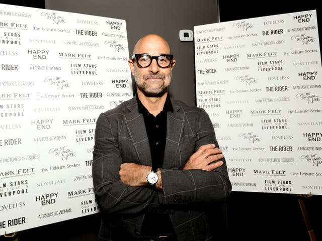 <p>Stanley Tucci in 2017</p>