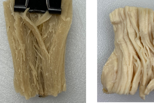 <p>A meat substitute (left) resembles chicken meat (right), but its proteins are not absorbed as well by human cells</p>