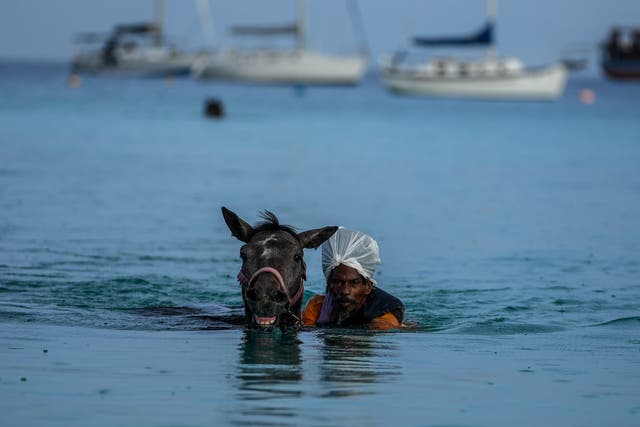 Pictures of the Week-Global-Photo Gallery