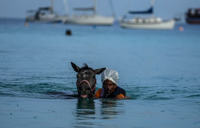 Pictures of the Week-Global-Photo Gallery