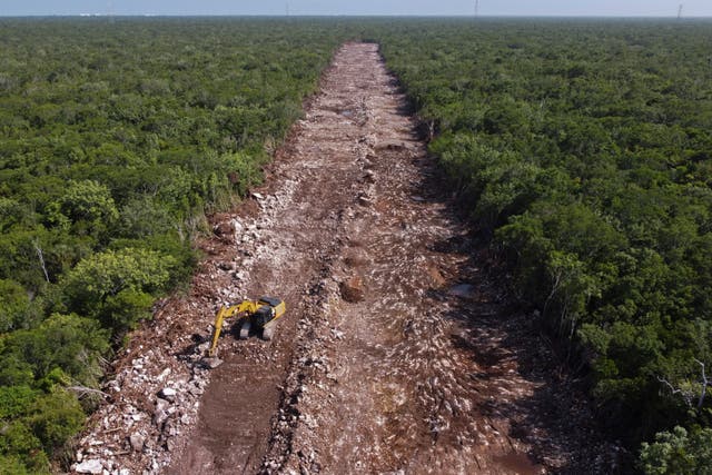 Mexico Environment Train