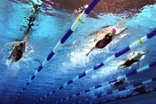 <p>Jillian Cox competes in the Women's 400 Metre Freestyle Final on day four of the Phillips 66 National Championships at Indiana University Natatorium</p>