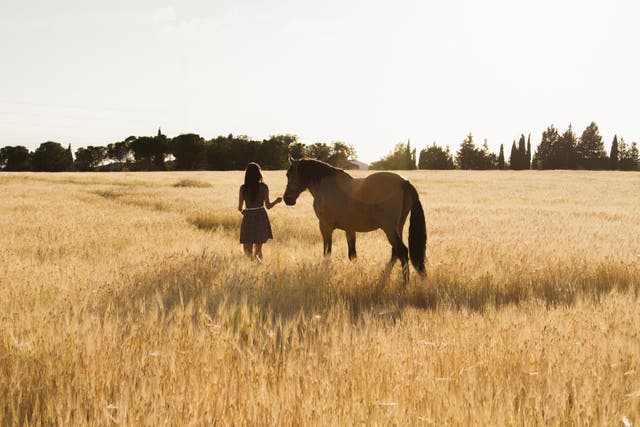 <p>Her interest in horses began a couple of years ago, with origins unknown</p>