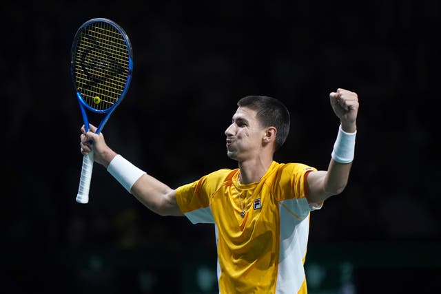 Alexei Popyrin celebrated his first live Davis Cup win (Adam Davy/PA)