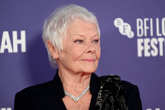 <p>Dame Judi Dench</p>