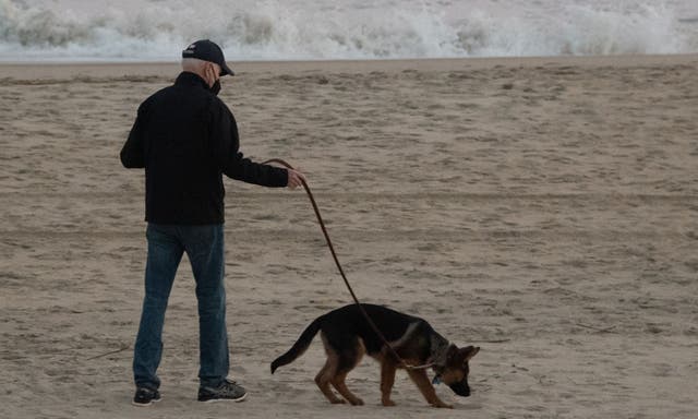 <p>President Joe Biden walks his dog Commander on the beach in Rehoboth Beach, Delaware, December 28, 2021. A new report says the president saw his dog attack Secret Service Agents. </p>