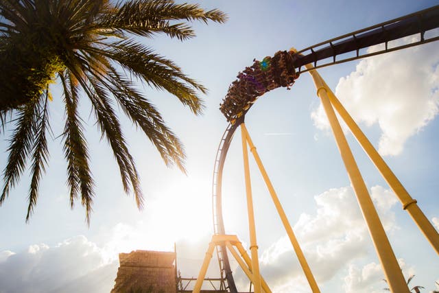 <p>The Montu roller coaster at Busch Gardens has seven inversions </p>