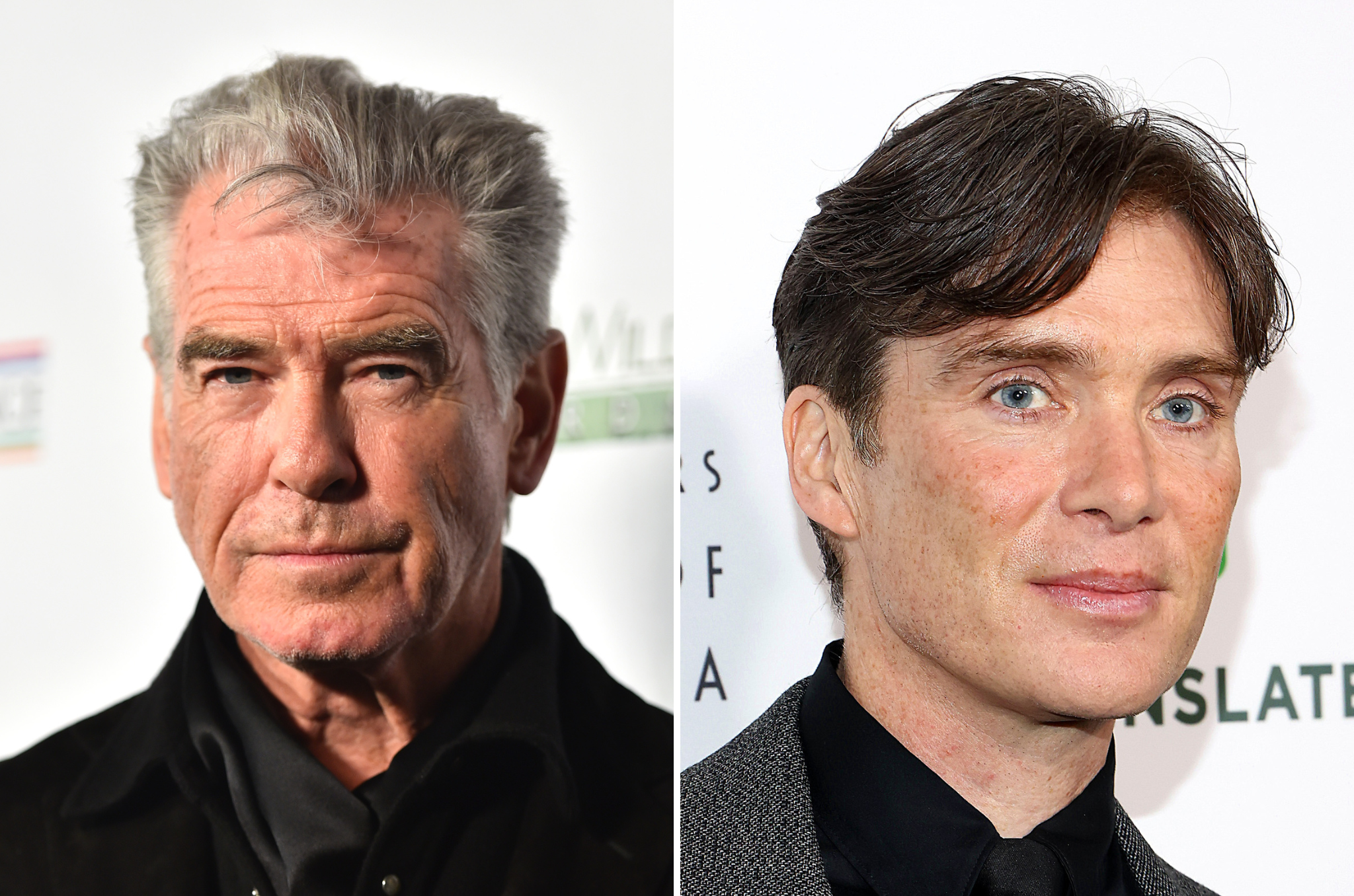 Pierce Brosnan and Cillian Murphy