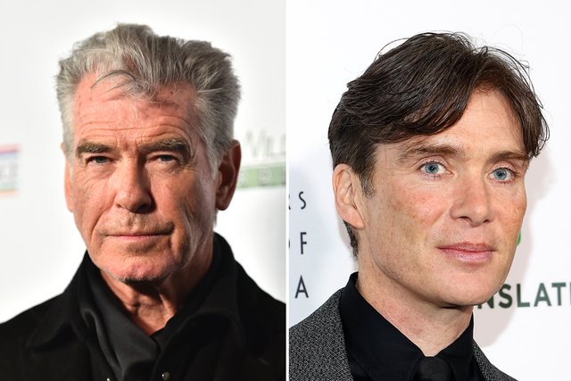 <p>Pierce Brosnan and Cillian Murphy</p>