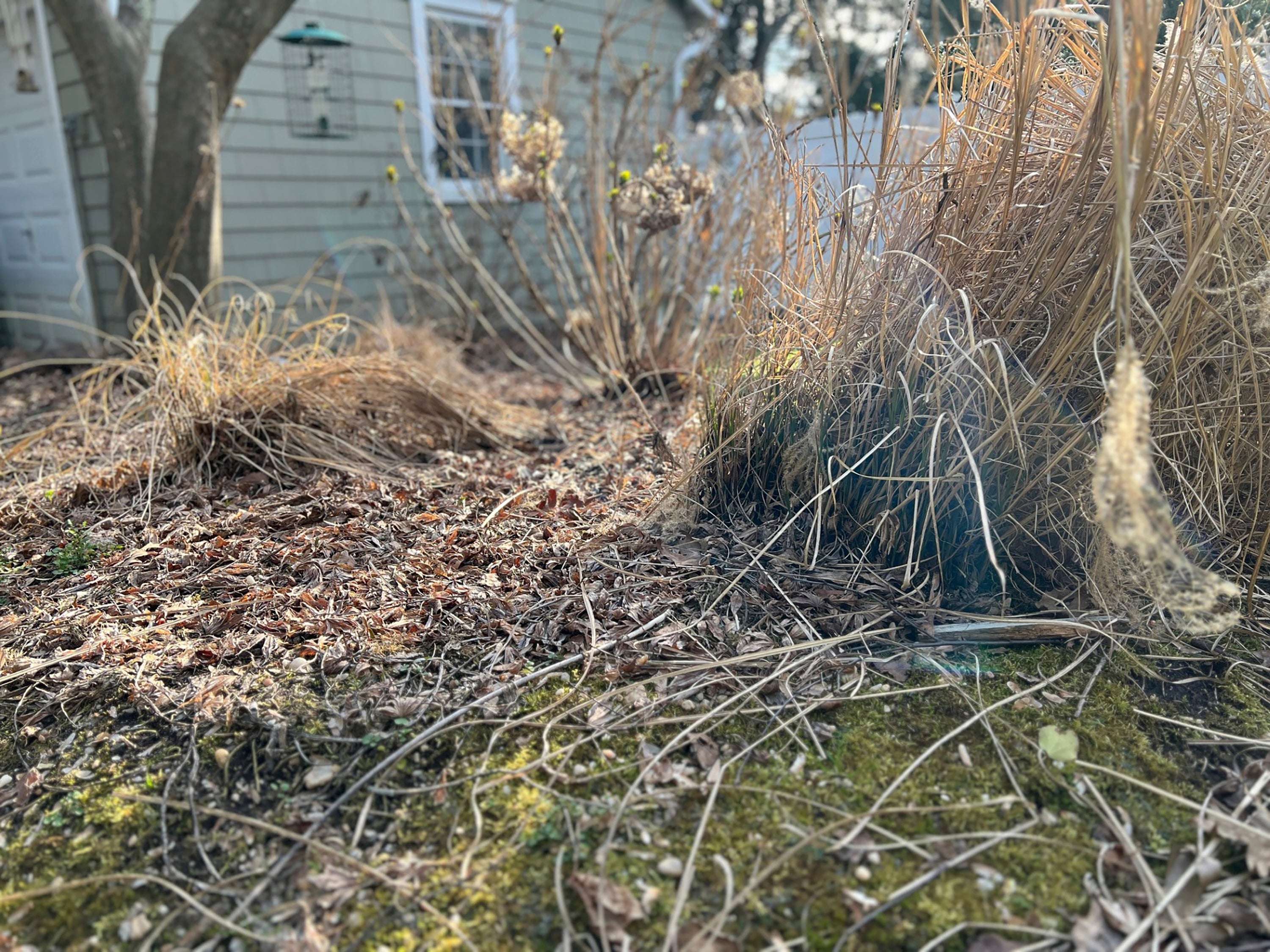 Gardening-Spring Chores