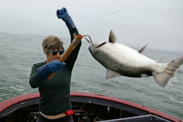 California Salmon Fishing Ban