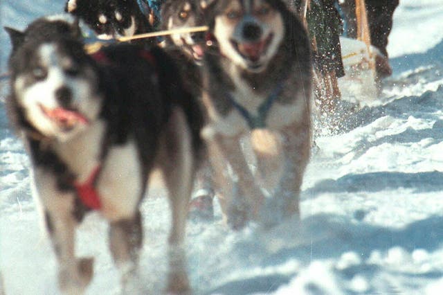 Obit-Former Iditarod Champion