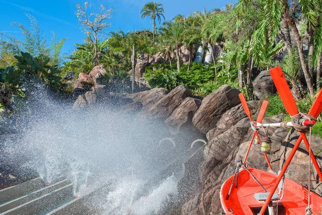 <p>Walt Disney Parks has been sued by a woman who alleges she lost consciousness and suffered a brain injury after riding a slide at Typhoon lagoon</p>