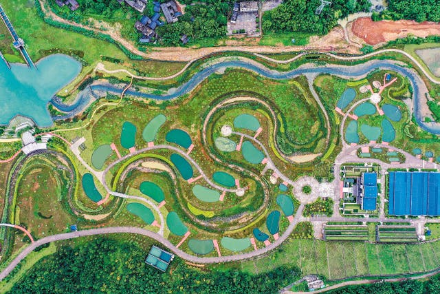 <p>One of the fish ladders of the Datengxia Gorge Water Conservancy Hydropower Project in Guiping, Guangxi Zhuang autonomous region </p>