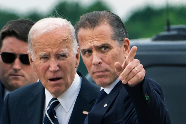 <p>Hunter Biden is pictured next to his father Joe Biden. </p>