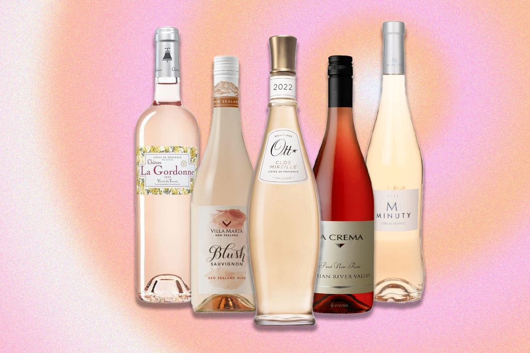 15 best rosé wines to brighten your day and drink all summer long