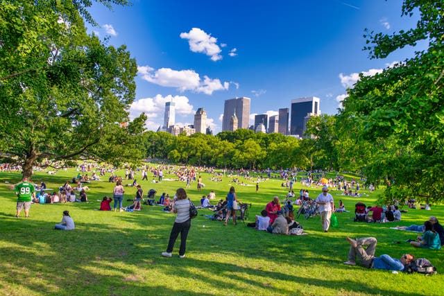 <p>A potentially historic heatwave is set to hit the northeast next week, with temperatures predicted to soar some 20 degrees higher than normal</p>