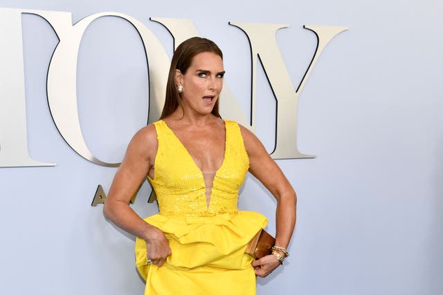 Brooke Shields arrives at the 77th Tony Awards (Evan Agostini/AP)