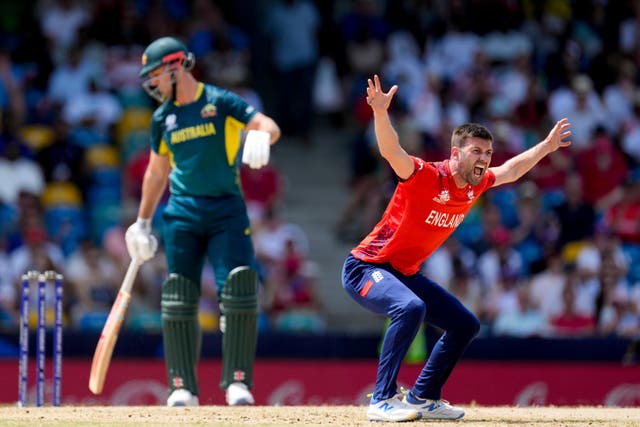 England and Australia are both still in contention to win the T20 World Cup (Ricardo Mazalan/AP)