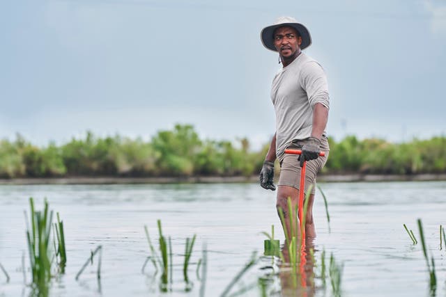 TV-Shark Beach with Anthony Mackie