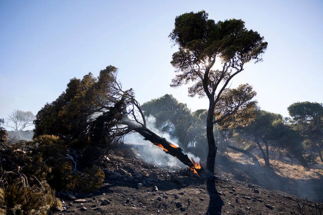 APTOPIX Greece Wildfire