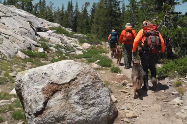 <p>Officials used dogs to try and track down the missing hikers</p>
