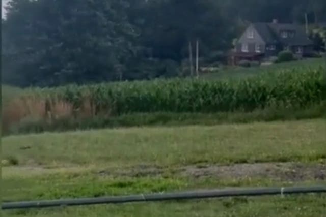 <p>A tornado rips through fields in Eden, New York on 10 July. At least six tornadoes touched down in New York state on Wednesday as the remnants of Hurricane Beryl battered the east coast</p>