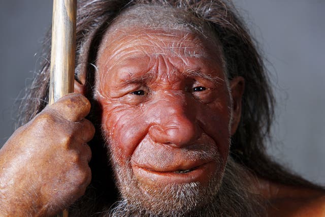 Modern man has inherited medical risk factors from Neanderthals