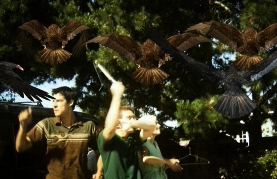 Birds attack the characters in Birdemic