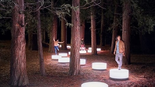 People standing on lighted discs in a forest