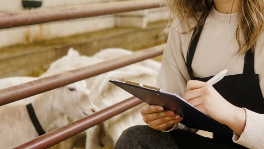 Woman with notepad checking on livestock