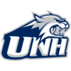 New Hampshire Wildcats logo