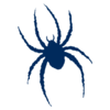 Richmond Spiders logo